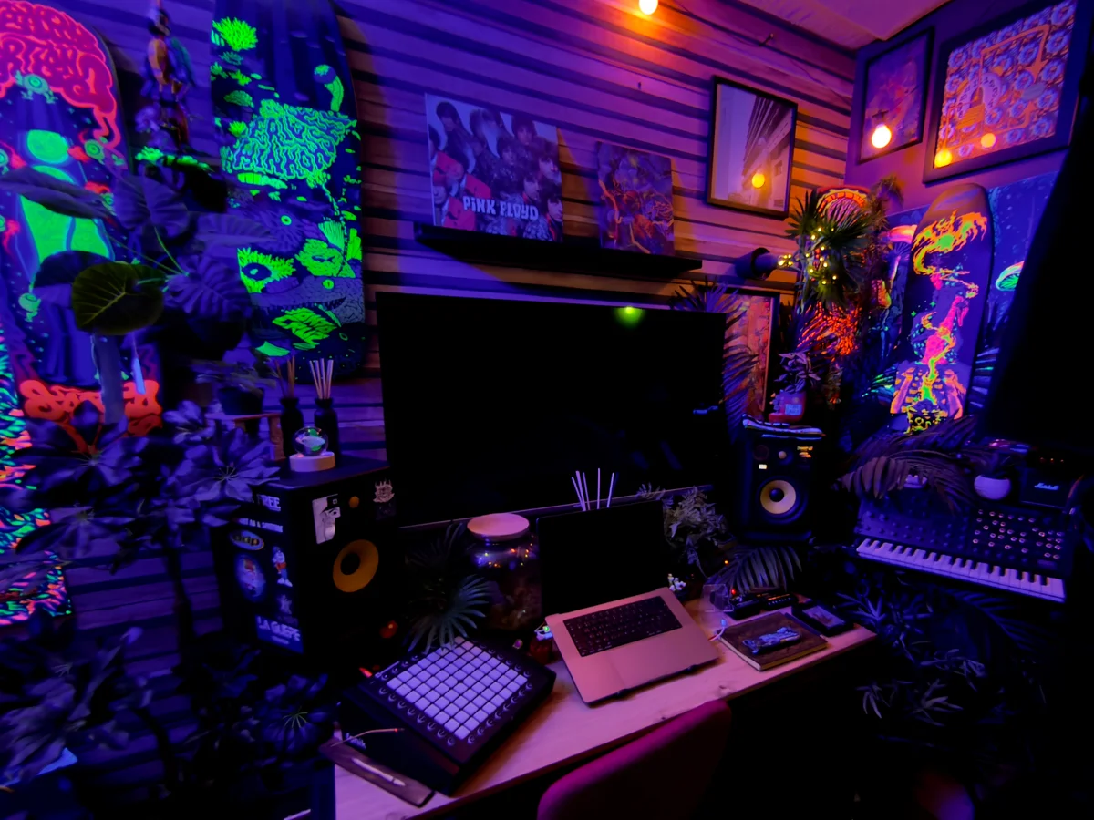Studio STUDIO 241 - Image 1